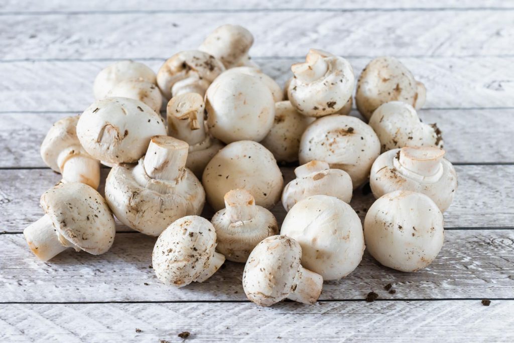 Hongos o champiñones